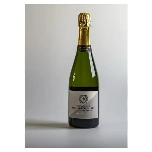 Brut Tradition 1er Cru