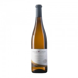 Cave des Coteaux Pinot gris Terra Ancestra