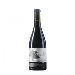 Cave des Coteaux Pinot noir en Tsano